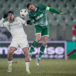 Лудогорец - Ница 1:0